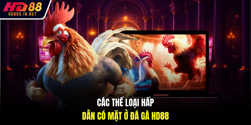 Các thể loại hấp dẫn có mặt ở đá gà HD88