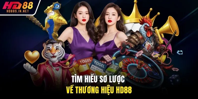 Tìm hiểu sơ lược về thương hiệu HD88